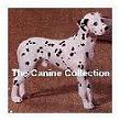 caninecollection.JPG (49344 bytes)